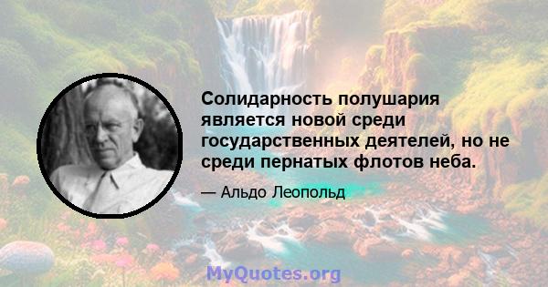 Солидарность полушария является новой среди государственных деятелей, но не среди пернатых флотов неба.