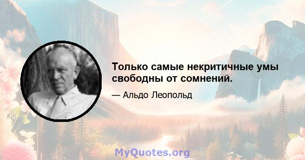 Только самые некритичные умы свободны от сомнений.