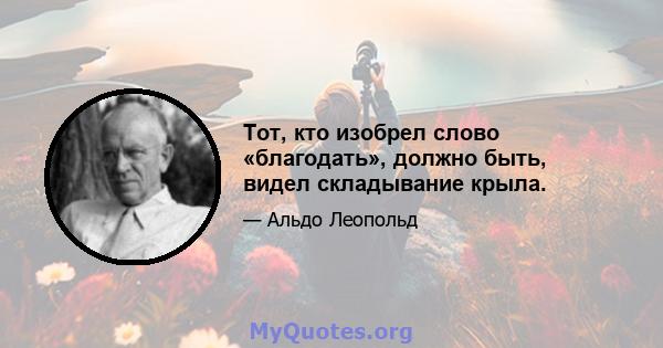 Тот, кто изобрел слово «благодать», должно быть, видел складывание крыла.