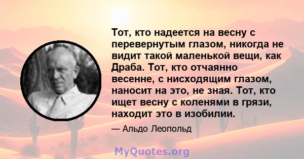 Тот, кто надеется на весну с перевернутым глазом, никогда не видит такой маленькой вещи, как Драба. Тот, кто отчаянно весенне, с нисходящим глазом, наносит на это, не зная. Тот, кто ищет весну с коленями в грязи,