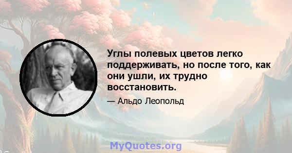 Углы полевых цветов легко поддерживать, но после того, как они ушли, их трудно восстановить.