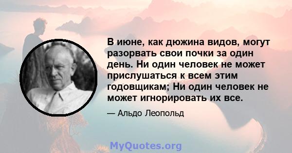 В июне, как дюжина видов, могут разорвать свои почки за один день. Ни один человек не может прислушаться к всем этим годовщикам; Ни один человек не может игнорировать их все.