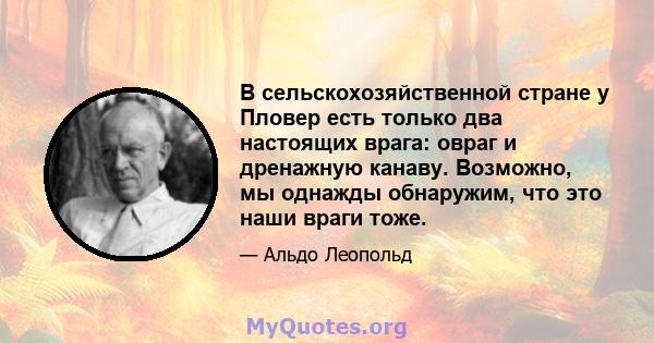 В сельскохозяйственной стране у Пловер есть только два настоящих врага: овраг и дренажную канаву. Возможно, мы однажды обнаружим, что это наши враги тоже.