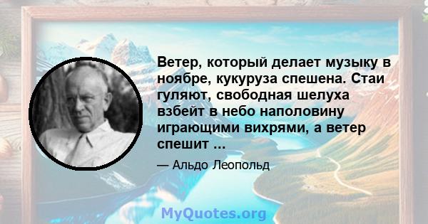 Ветер, который делает музыку в ноябре, кукуруза спешена. Стаи гуляют, свободная шелуха взбейт в небо наполовину играющими вихрями, а ветер спешит ...