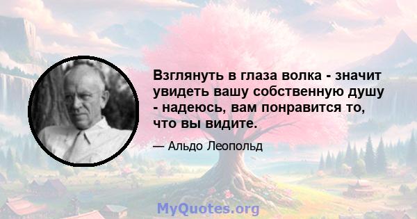 Взглянуть в глаза волка - значит увидеть вашу собственную душу - надеюсь, вам понравится то, что вы видите.