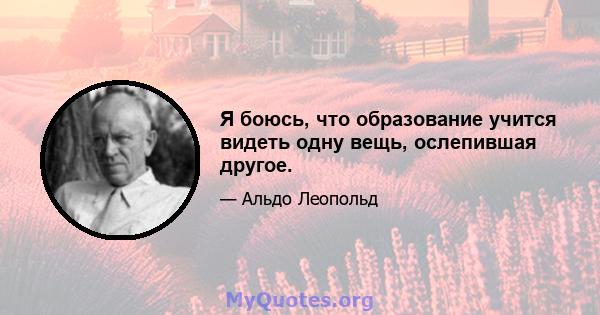 Я боюсь, что образование учится видеть одну вещь, ослепившая другое.