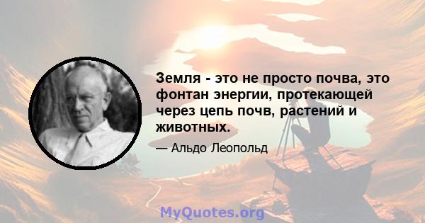 Земля - ​​это не просто почва, это фонтан энергии, протекающей через цепь почв, растений и животных.