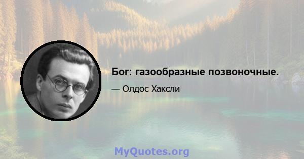 Бог: газообразные позвоночные.