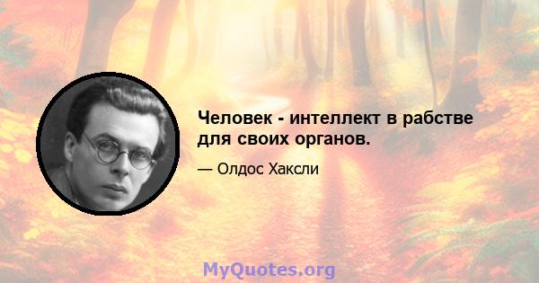 Человек - интеллект в рабстве для своих органов.