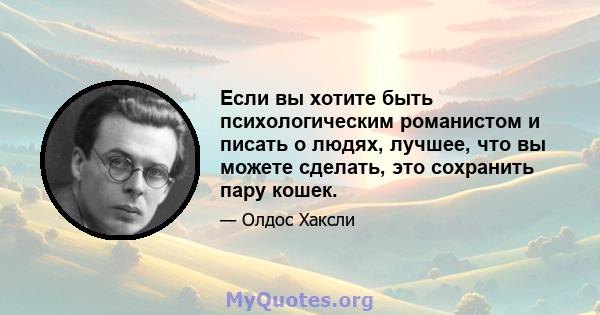 Если вы хотите быть психологическим романистом и писать о людях, лучшее, что вы можете сделать, это сохранить пару кошек.