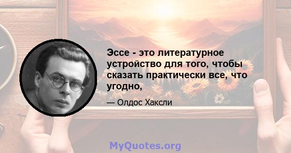 Эссе - это литературное устройство для того, чтобы сказать практически все, что угодно,