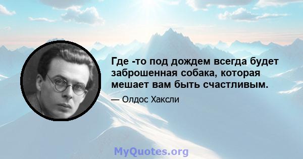 Где -то под дождем всегда будет заброшенная собака, которая мешает вам быть счастливым.