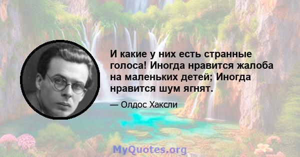 И какие у них есть странные голоса! Иногда нравится жалоба на маленьких детей; Иногда нравится шум ягнят.