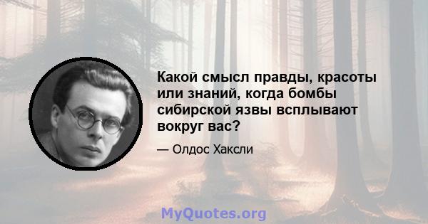 Какой смысл правды, красоты или знаний, когда бомбы сибирской язвы всплывают вокруг вас?