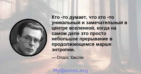 Кто -то думает, что кто -то уникальный и замечательный в центре вселенной, когда на самом деле это просто небольшое прерывание в продолжающемся марше энтропии.