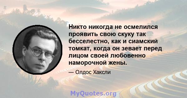 Никто никогда не осмелился проявить свою скуку так бесселестно, как и сиамский томкат, когда он зевает перед лицом своей любовенно наморочной жены.