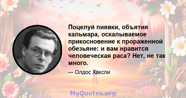 Поцелуй пиявки, объятия кальмара, оскалываемое прикосновение к прораженной обезьяне: и вам нравится человеческая раса? Нет, не так много.