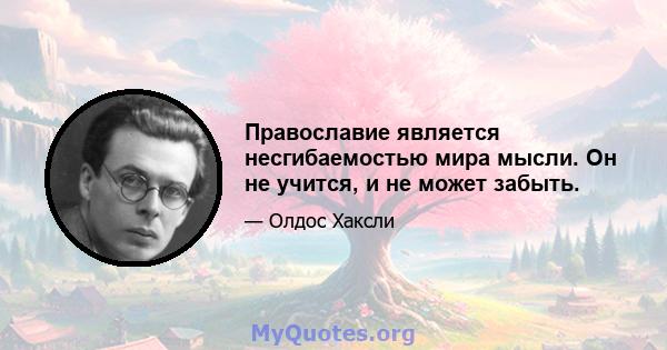 Православие является несгибаемостью мира мысли. Он не учится, и не может забыть.