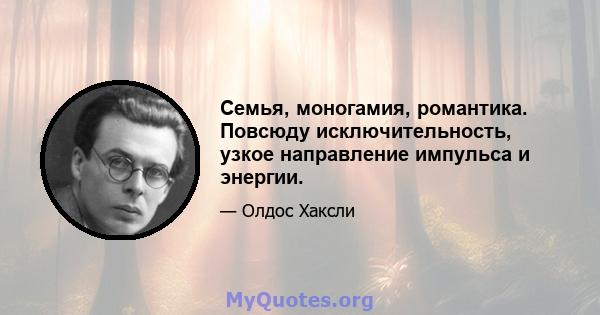 Семья, моногамия, романтика. Повсюду исключительность, узкое направление импульса и энергии.