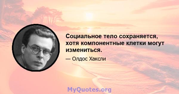 Социальное тело сохраняется, хотя компонентные клетки могут измениться.