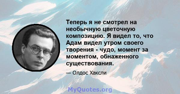 Теперь я не смотрел на необычную цветочную композицию. Я видел то, что Адам видел утром своего творения - чудо, момент за моментом, обнаженного существования.