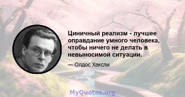 Циничный реализм - лучшее оправдание умного человека, чтобы ничего не делать в невыносимой ситуации.