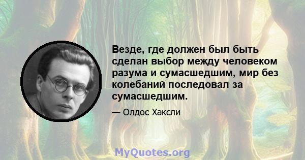 Везде, где должен был быть сделан выбор между человеком разума и сумасшедшим, мир без колебаний последовал за сумасшедшим.