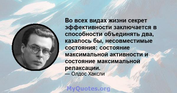 Во всех видах жизни секрет эффективности заключается в способности объединять два, казалось бы, несовместимые состояния: состояние максимальной активности и состояние максимальной релаксации.