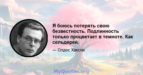 Я боюсь потерять свою безвестность. Подлинность только процветает в темноте. Как сельдерей.