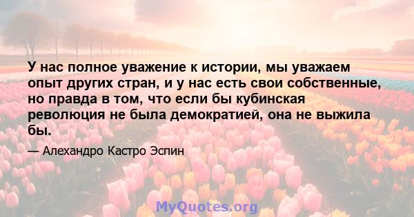 У нас полное уважение к истории, мы уважаем опыт других стран, и у нас есть свои собственные, но правда в том, что если бы кубинская революция не была демократией, она не выжила бы.