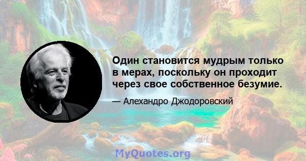 Один становится мудрым только в мерах, поскольку он проходит через свое собственное безумие.