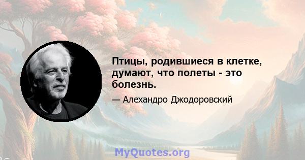 Птицы, родившиеся в клетке, думают, что полеты - это болезнь.