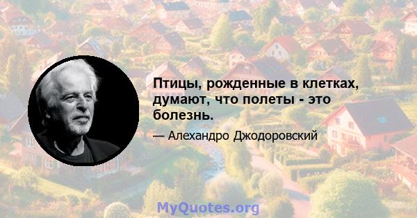 Птицы, рожденные в клетках, думают, что полеты - это болезнь.