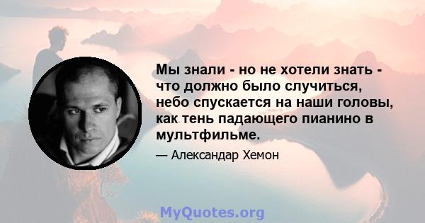 Мы знали - но не хотели знать - что должно было случиться, небо спускается на наши головы, как тень падающего пианино в мультфильме.