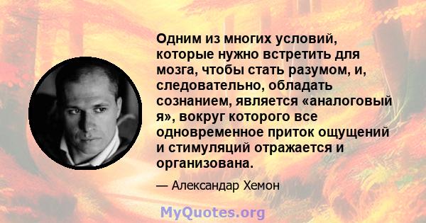 Одним из многих условий, которые нужно встретить для мозга, чтобы стать разумом, и, следовательно, обладать сознанием, является «аналоговый я», вокруг которого все одновременное приток ощущений и стимуляций отражается и 