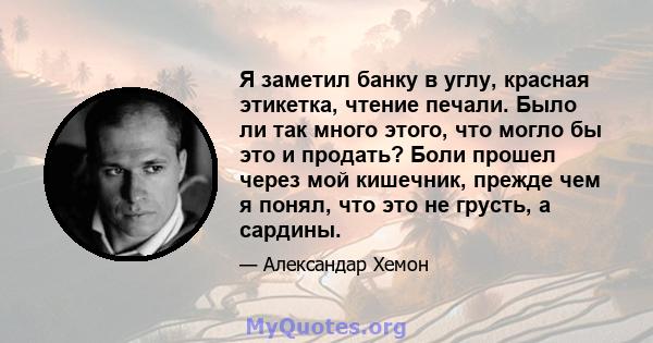 Я заметил банку в углу, красная этикетка, чтение печали. Было ли так много этого, что могло бы это и продать? Боли прошел через мой кишечник, прежде чем я понял, что это не грусть, а сардины.