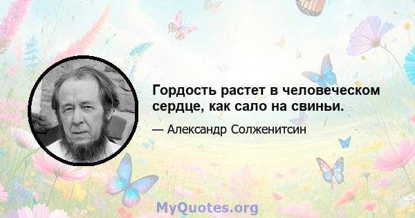 Гордость растет в человеческом сердце, как сало на свиньи.