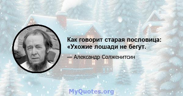 Как говорит старая пословица: «Ухожие лошади не бегут.