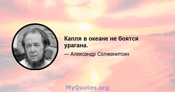 Капля в океане не боятся урагана.