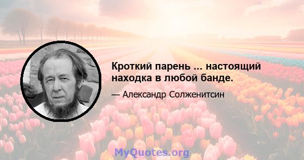 Кроткий парень ... настоящий находка в любой банде.