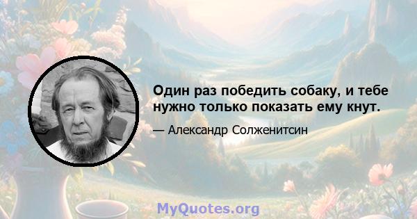 Один раз победить собаку, и тебе нужно только показать ему кнут.