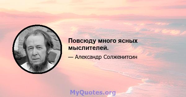 Повсюду много ясных мыслителей.