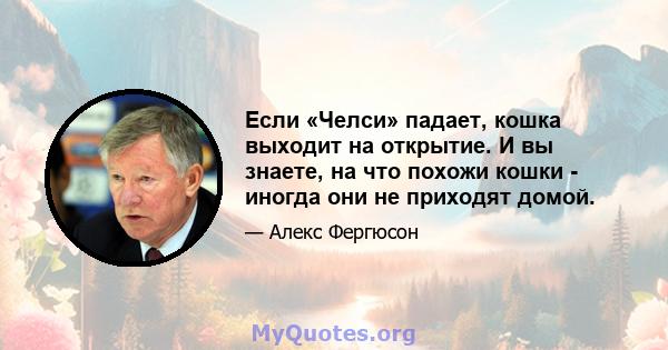 Если «Челси» падает, кошка выходит на открытие. И вы знаете, на что похожи кошки - иногда они не приходят домой.