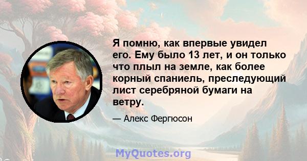 Я помню, как впервые увидел его. Ему было 13 лет, и он только что плыл на земле, как более корный спаниель, преследующий лист серебряной бумаги на ветру.