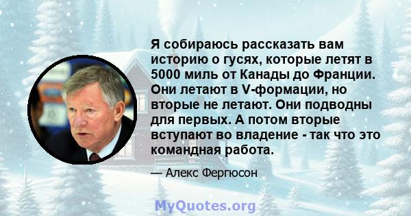 Я собираюсь рассказать вам историю о гусях, которые летят в 5000 миль от Канады до Франции. Они летают в V-формации, но вторые не летают. Они подводны для первых. А потом вторые вступают во владение - так что это