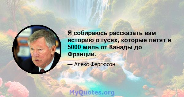 Я собираюсь рассказать вам историю о гусях, которые летят в 5000 миль от Канады до Франции.