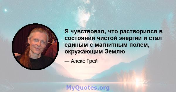 Я чувствовал, что растворился в состоянии чистой энергии и стал единым с магнитным полем, окружающим Землю