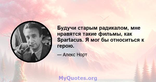 Будучи старым радикалом, мне нравятся такие фильмы, как Spartacus. Я мог бы относиться к герою.