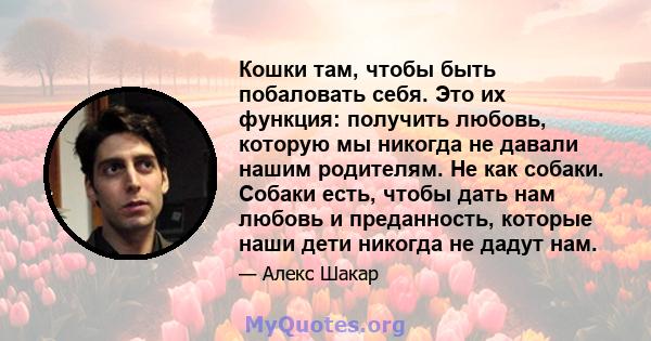 Кошки там, чтобы быть побаловать себя. Это их функция: получить любовь, которую мы никогда не давали нашим родителям. Не как собаки. Собаки есть, чтобы дать нам любовь и преданность, которые наши дети никогда не дадут