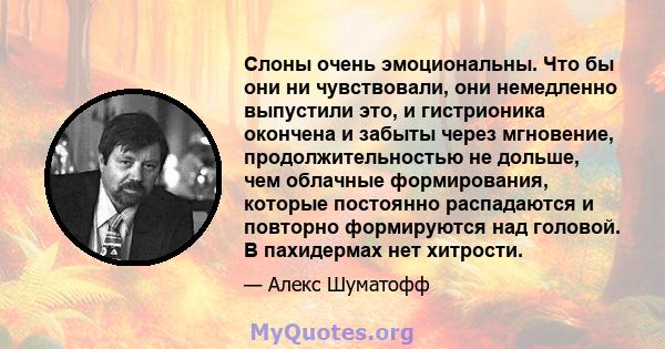 Слоны очень эмоциональны. Что бы они ни чувствовали, они немедленно выпустили это, и гистрионика окончена и забыты через мгновение, продолжительностью не дольше, чем облачные формирования, которые постоянно распадаются